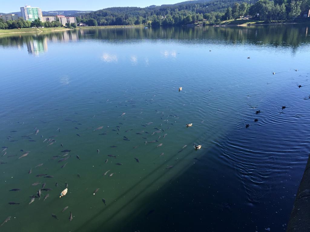 Hotel apartamentowy Jablonec 3*